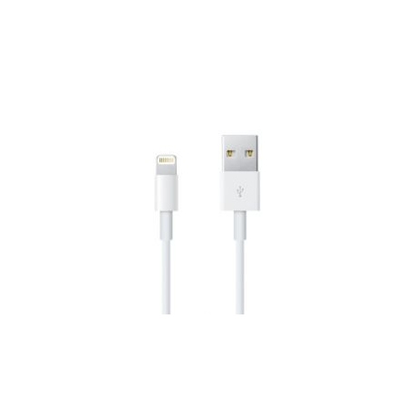 Câble usb Lightning iPhone et iPad