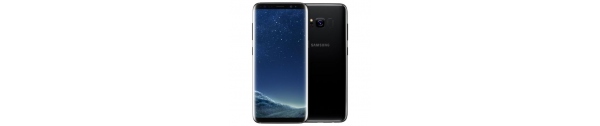 Pièces Samsung Galaxy S8 G950F