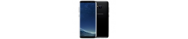 Pièces Samsung Galaxy S8 G950F